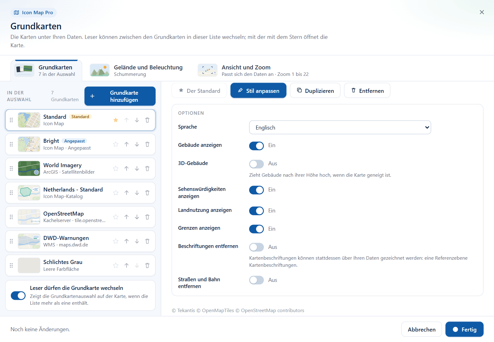 Der Abschnitt Optionen einer Icon Map-Grundkarte im Grundkarten-Dialog